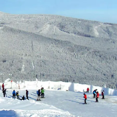 Sunny Loft With Mountain Views Elbingerode (Saxony-Anhalt)