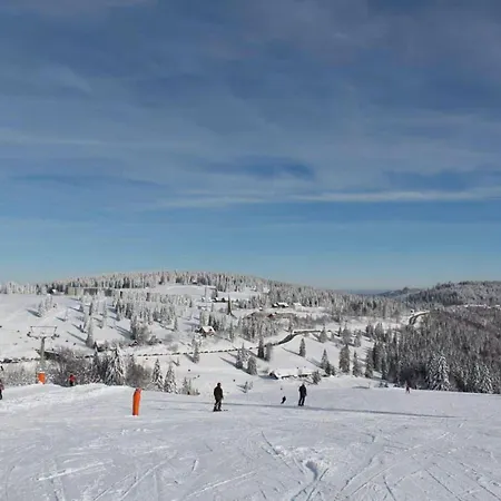 Sunny Loft With Mountain Views
