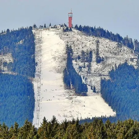 Apartment Sunny Loft With Mountain Views Elbingerode (Saxony-Anhalt)