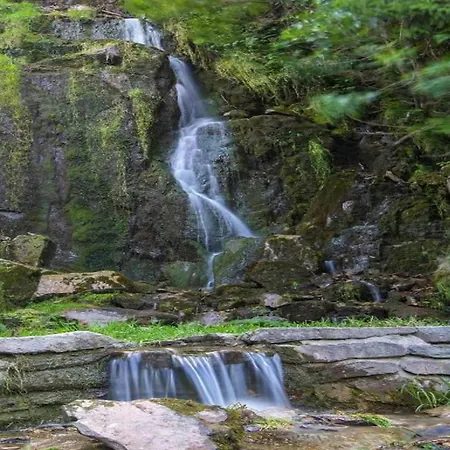 Behagliche In * Elbingerode (Saxony-Anhalt)