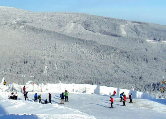 Behagliche In Elbingerode (Saxony-Anhalt)